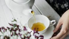 Beneficios del té en la salud