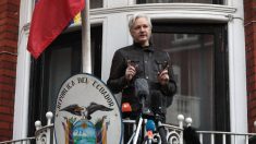 Juez de EE.UU. pide testimonio de Assange para demanda de los padres de empleado del DNC asesinado