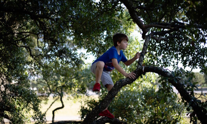 Niño recoge frutas de un árbol. (Jeremiah Lawrence/Unsplash)