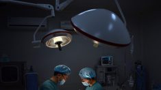 4 corazones en 10 días: Banco de órganos «a pedido» en China levanta sospechas de sustracción forzada