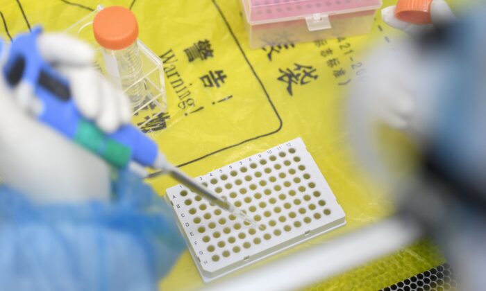 Un técnico de laboratorio trabaja con muestras de personas que se someterán a pruebas para detectar el nuevo coronavirus, en un laboratorio de Wuhan, provincia central de Hubei, en China, el 6 de febrero de 2020. (STR/AFP a través de Getty Images).