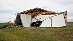 Habitantes de Iowa siguen sin electricidad una semana después de la intensa tormenta Derecho