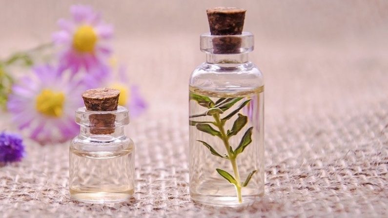 Hay muchas formas de consumir plantas medicinales, incluyendo tés, tinturas, aceites esenciales y extractos. (Mohamed_Hassan/Pixabay)