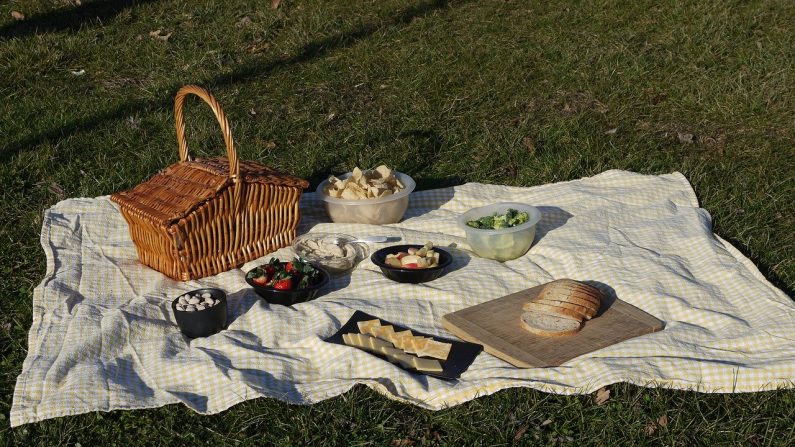 Picnic al aire libre. Imagen ilustrativa.. (Créditos: Julia_S/Pixabay)