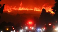 Emiten órdenes de evacuación por un incendio forestal al norte de Los Ángeles