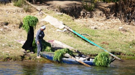 Vea la vida pasar por el río Nilo en Egipto