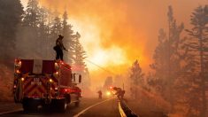 Incendios arrasan la cifra récord de 1.62 millones de hectáreas en California
