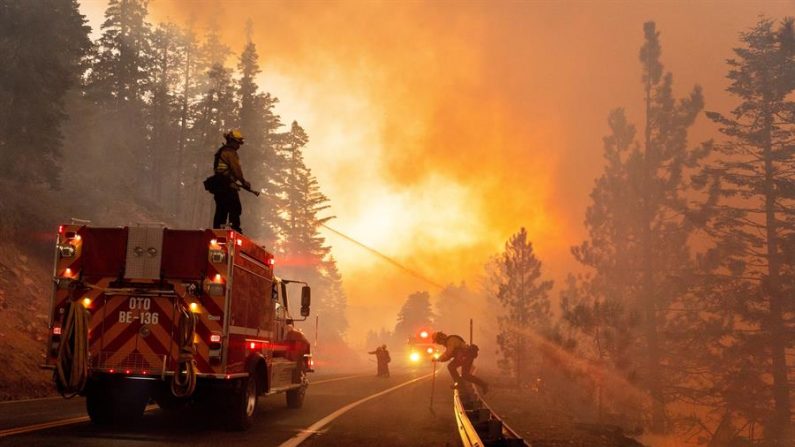 Bomberos luchan contra el fuego del incendio conocido como "Bobcat" en el Bosque Nacional de Los Ángeles (California), el 21 de septiembre de 2020. EFE/Kyle Grillot