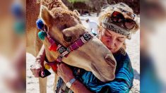 Mujer alemana vive con 40 camellos en una granja del desierto en Dubai