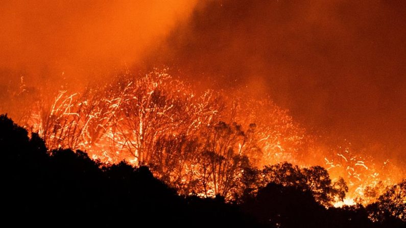 Vista del fuego declarado en Shaver Lake en el bosque nacional de Sierra en California, Estados Unidos el 8 de septiembre de 2020. EFE/ Etienne Laurent