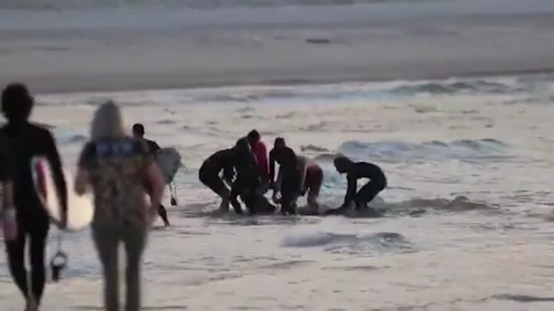 La gente se apresuró a llevar a la orilla a la víctima de la mordedura de tiburón después del ataque. (Crédito/Nine News Australia)