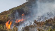 Bomberos fuera de servicio llegan a salvar casas en Washington en medio de incendio forestal Sumner Grade