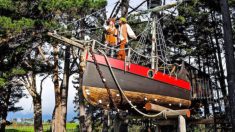 Mujer construye increíble casa del árbol de barco pirata para hacer realidad su sueño de infancia