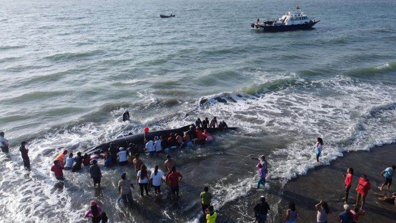 Fotografía cedida por la Alcaldía de Guayaquil de funcionarios ambientales de Guayaquil, el ministerio de Ambiente y voluntarios rescatando el 4 de septiembre de 2020 a una ballena jorobada que se encontraba varada en la isla Puná, de la localidad de Guayaquil, en el litoral ecuatoriano. EFE/Alcaldía Guayaquil