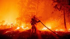 Evacuan a más de 200 personas en helicóptero por un nuevo fuego en California