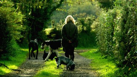 Caravana de animales sigue a una mujer caminando por las calles: “Pensé que era un mago”