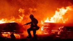 Gobernador de California declara estado de emergencia por incendios forestales