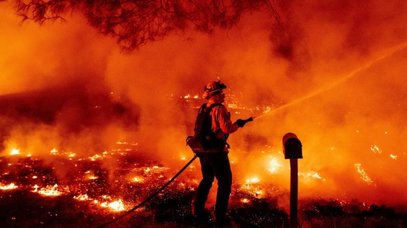 Un bombero del condado de Butte apaga las llamas del incendio de Bear en Oroville, California, el 9 de septiembre de 2020. (Foto de JOSH EDELSON/AFP vía Getty Images)