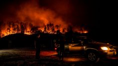 Los dos incendios más recientes en California siguen descontrolados