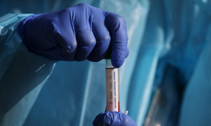 La enfermera certificada sostiene una prueba de hisopo de COVID-19 en una foto de archivo. (Lisa Maree Williams/Getty Images)
