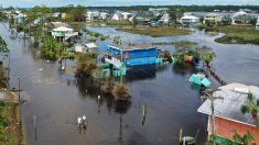 Sally inundó partes de Florida con “4 meses de lluvia en 4 horas”, dicen funcionarios