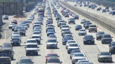Administrador de EPA cuestiona legalidad de propuesta que prohíbe coches a gasolina en California