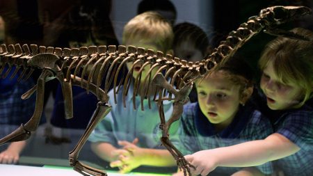 Los niños deben aprender historia para evitar que los medios de comunicación los engañen