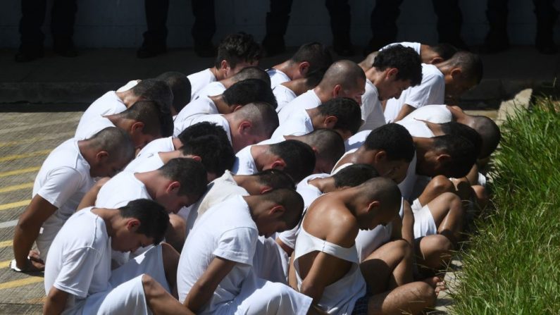 Los reclusos esposados, miembros de las bandas MS-13 y Barrio 18, son hechos esperar a su llegada a la prisión de máxima seguridad de Zacatecoluca (El Salvador) el 30 de agosto de 2017. (MARVIN RECINOS/AFP a través de Getty Images)