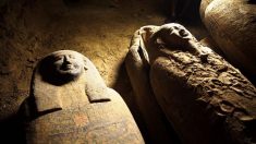 Descubren 13 misteriosas momias en un pozo de Egipto