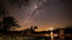 Fotógrafo captura la impresionante imagen de un león bebiendo agua bajo la Vía Láctea en Sudáfrica