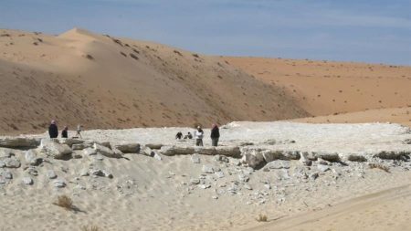 Hallan la evidencia más antigua de humanos en Arabia hace 120,000 años