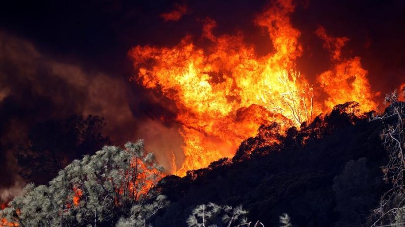 El Fuego de Cristal arde cerca del pueblo de Deer Park en el condado de Napa, California, EE.UU., el 27 de septiembre de 2020. EFE/EPA/JOHN G. MABANGLO