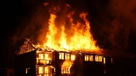 Gran danés recibe reconocimiento por salvar a toda la familia de un horrible incendio