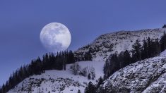 Una rara ‘luna azul’ iluminará el cielo nocturno en Halloween: aquí está lo que necesita saber