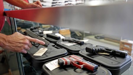 Uno de cada 9 demócratas compró armas en los últimos 3 meses según una encuesta
