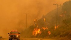 California está atrapada en el «círculo vicioso» de los incendios forestales, dice analista