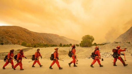 Gobernador de California promulga ley que elimina registros de exreclusos que combaten los incendios