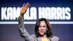 Kamala Harris promovió un fondo de ayuda para liberar a un hombre que agredió sexualmente a una niña