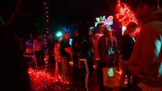 Funcionarios de Los Ángeles revisan la prohibición de las actividades de Halloween