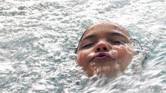 Niño de 3 años salva a su amigo de ahogarse en una piscina y es recompensado “de héroe a héroe”