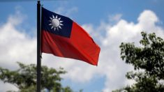Taiwán solicita participar en la Asamblea de la ONU en tiempos de pandemia