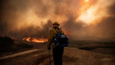 Incendio cercano a Los Ángeles quema más de 4500 hectáreas en 24 horas