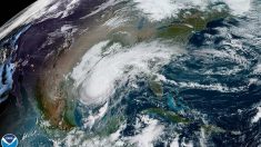 Luisiana se prepara para el huracán de categoría 3 Delta tras declarar el estado de desastre