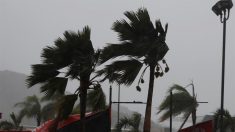 El Caribe en alerta de tormenta y el huracán Épsilon deja marejadas al norte