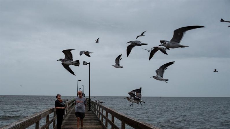 Dos personas miran las aves cuando el huracán Zeta se acerca a Biloxi, Mississippi (EE.UU.), el 28 de octubre de 2020. EFE/Dan Anderson
