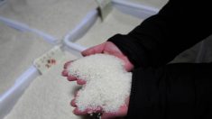 Declaran culpables a vendedores de arroz con aditivos químicos en la provincia de Guangdong, China