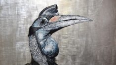 Afición por las aves extrañas: Las pinturas del artista de vida silvestre del año Andrew Pledge