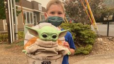 Niño de 5 años envía un muñeco Baby Yoda a los bomberos de Oregón: «En caso de que se sientan solos»