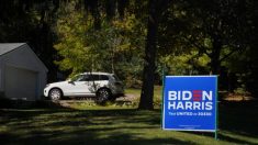 Hombre roba presuntamente un bulldozer para derribar unos carteles de Biden en Florida