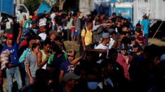 Al menos 300 migrantes hondureños ingresan a Guatemala en busca de EE.UU.